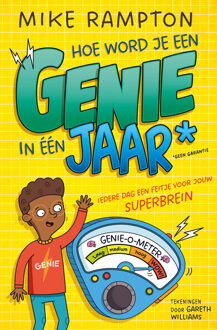 Hoe word je een genie in één jaar -  Mike Rampton (ISBN: 9789026183058)