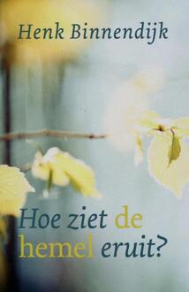 Hoe Ziet De Hemel Eruit? - (ISBN:9789043532112)