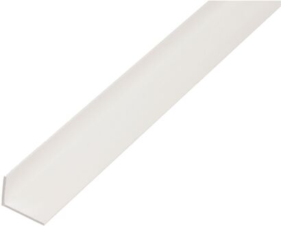 Hoekprofiel - Pvc Wit - 40x10x2mm 1m