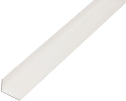 Hoekprofiel - Pvc Wit - 40x10x2mm 2,6m