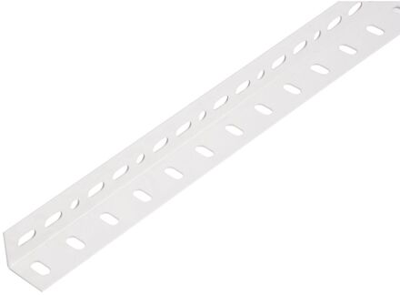 Hoekprofiel - Staal - 25x25x1,2mm 2m