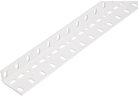 Hoekprofiel - Staal - 25x45x1,5mm 1m