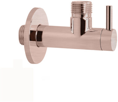 Hoekstopkraan Hotbath Cobber Rond met Filter Geborsteld Koper PVD