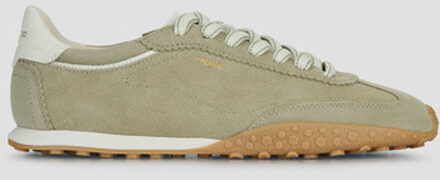 Hoff Lage Sneakers HOFF BRIDGE" Kaki - 36,37,38,39,40,41