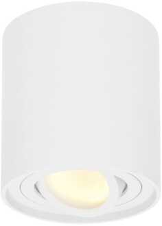 HOFTRONIC™ LED opbouwspot Wit - Dimbaar en Kantelbaar - Incl. 5 Watt GU10 - Plafondspot Ray - Geschikt voor Binnen