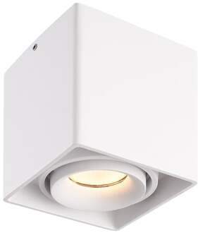 HOFTRONIC™ LED opbouwspot Wit - Dimbaar en Kantelbaar - incl 5W 3000K GU10 Spot - Plafondspot Esto - Geschikt voor Binnengebruik