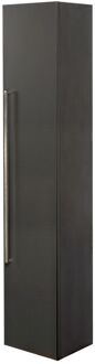 Hoge Badkamerkast Arezzo 25cm - Donkergrijs - Met 1 Deur - 25x150x30cm
