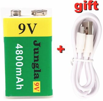 Hoge Capaciteit Usb Batterij 9V 4800Mah Li-Ion Oplaadbare Batterij Usb Lithium Batterij Voor Speelgoed Afstandsbediening Goud