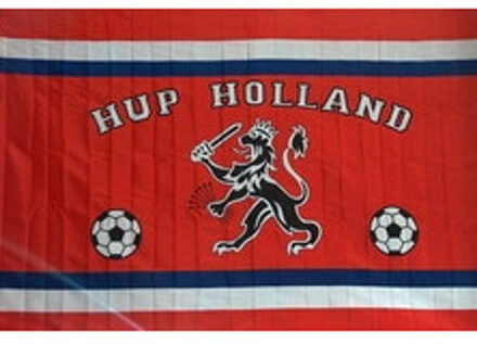 Holland Vlag Holland leeuw en voetballen: 50x70 cm