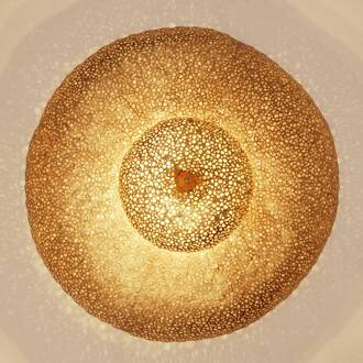 Hollander Kwalitatief hoogwaardige plafondlamp Utopistico goud