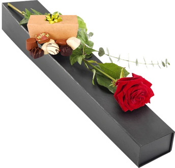 Hollandse rode roos + 150 gram bonbons