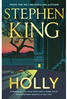 Holly - Stephen King