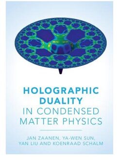 Holographic Duality in Condensed Matter Physics