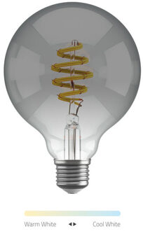 Hombli Smart Filament Bulb CCT E27 G95 Smartverlichting Grijs