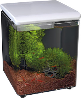 Home Aquarium - 20.5x20.5x25.7 cm - 8L - Wit