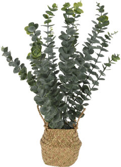 Home & Styling Bellatio flowers & plants Kunst eucalyptus plant - in rieten mand - 50 cm - voor binnen - kunstplant