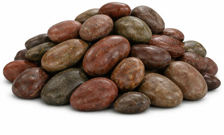 Home & Styling decoratie stenen - 3x - 650ml - groot - bruin mix - hobby steentjes