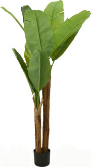 Home & Styling Kunst bananenplant - in pot - 160 cm - kunstplant - voor binnen - bananenboom Groen