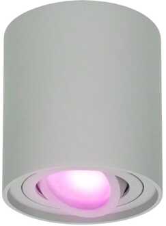 Homeylux® Smart Wifi LED Opbouwspot Grijs Rond - 5,5W RGBWW - Dimbaar en Kantelbaar - Slimme Plafondspot Ray - Bedienbaar via Homeylux® App - Google Home en Amazon Alexa