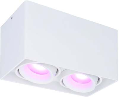 Homeylux® Smart Wifi LED Opbouwspot Wit Rechthoek DUO - 5,5W RGBWW - Dimbaar en Kantelbaar - Slimme Plafondspot Esto - Bedienbaar via Homeylux® App - Google Home en Amazon Alexa