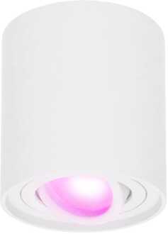 Homeylux® Smart Wifi LED Opbouwspot Wit Rond - 5,5W RGBWW - Dimbaar en Kantelbaar - Slimme Plafondspot Ray - Bedienbaar via Homeylux® App - Google Home en Amazon Alexa