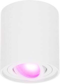 Homeylux® Smart Wifi LED Opbouwspot Wit Rond - 5,5W RGBWW - Dimbaar en Kantelbaar - Slimme Plafondspot Ray - Bedienbaar via Homeylux® App - Google Home en Amazon Alexa