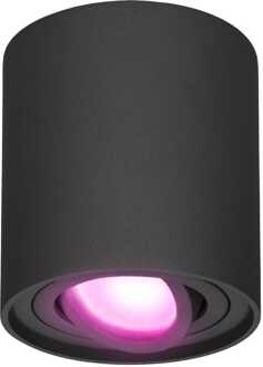 Homeylux® Smart Wifi LED Opbouwspot Zwart Rond - 5,5W RGBWW - Dimbaar en Kantelbaar - Slimme Plafondspot Ray - Bedienbaar via Homeylux® App - Google Home en Amazon Alexa