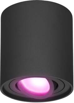 Homeylux® Smart Wifi LED Opbouwspot Zwart Rond - 5,5W RGBWW - Dimbaar en Kantelbaar - Slimme Plafondspot Ray - Bedienbaar via Homeylux® App - Google Home en Amazon Alexa