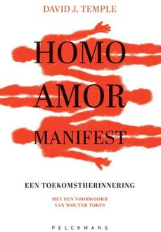 Homo Amor Manifest -  David J. Temple, Zachary Stein (ISBN: 9789464016604)