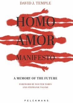 Homo Amor Manifesto - David J. Temple, Zachary Stein, Marc Gafni, Ken Wilbur - ebook