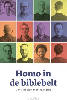 Homo in de biblebelt - Christine Stam, Ineke de Jong - ebook