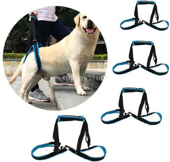 Hond Achterpoot Extra Riem Lift Harnas Mobiliteit Ondersteuning Harnas Met Assist Sling Voor Oude Gewonde Honden XL