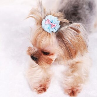 Hond Bubble Haarspeld Organza Leuke 1 stuk Huisdier VIP Teddy Bloem roze Paars blauw Groen