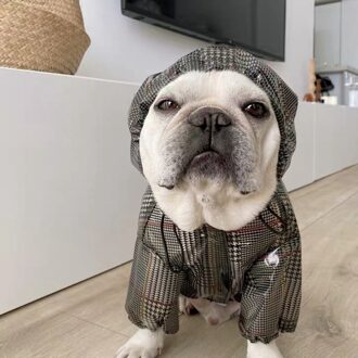 Hond Duurzaam Regenjas Kleding Waterdicht Regen Jas Outdoor Jas Voor Kleine Middelgrote Honden Franse Bulldog Pug Corgi IBC12 LL (XL)