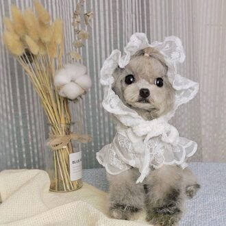 Hond Prinses Jurk Kanten Rok Met Hoed XL
