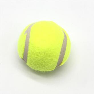 Hond Tandenborstel Hond Speelgoed Huisdier Chew Speelgoed Verwijderen Slechte Adem Schoonmaken Hond Tand Speelgoed Voor Kleine Puppy Bot Vorm Speelgoed veilig niet giftig 1stk willekeurig 8