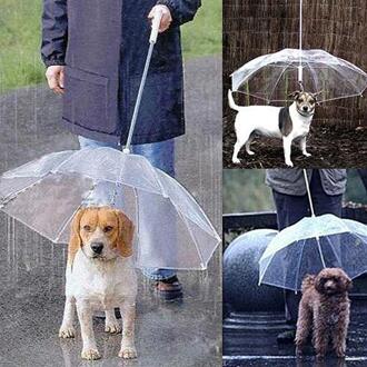 Hond Wandelen Waterdichte Clear Cover Ingebouwde Leash Regen Ijzel Sneeuw Pet Paraplu Hond Regenjassen