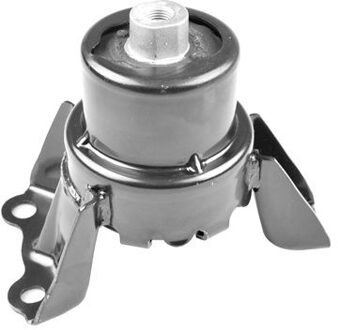 Honda Aslichaam-/motorsteunlager TED45366