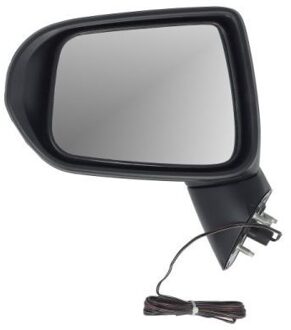 Honda Buitenspiegel 5402041191925P