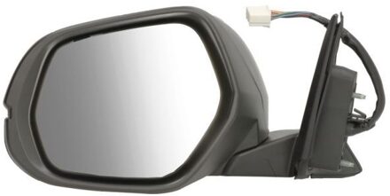 Honda Buitenspiegel 5402120493314P