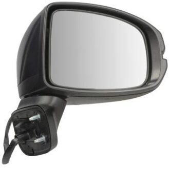 Honda Buitenspiegel 5402120499313P