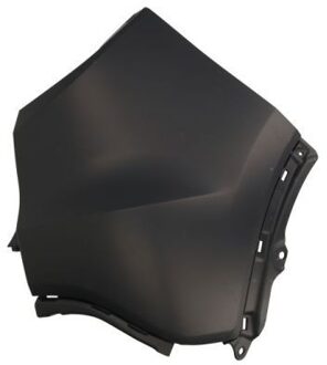 Honda Bumper 5508002950962P