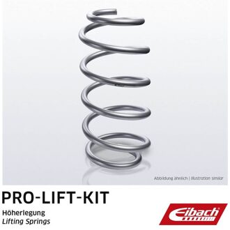 Honda Chassisveer F314001201RA