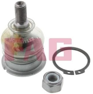 Honda Fuseekogel 825003810