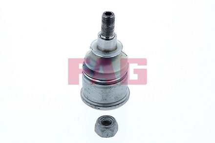 Honda Fuseekogel 825042610