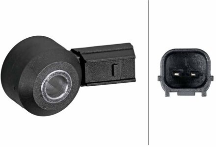 Honda Klopsensor 6PG013114781