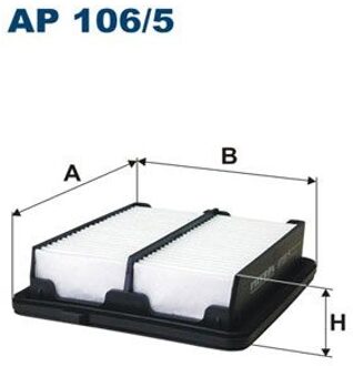 Honda Luchtfilter AP1065