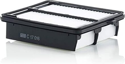 Honda Luchtfilter C17016