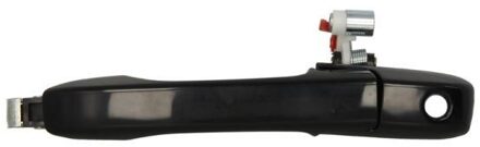 Honda Portiergreep buitenkant 601012046401P