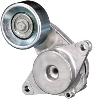 Honda Riemspanner, Poly V-riem T39413